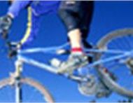 Bike in Valsugana