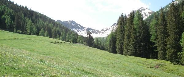 Un suggestivo scorcio della catena del Lagorai