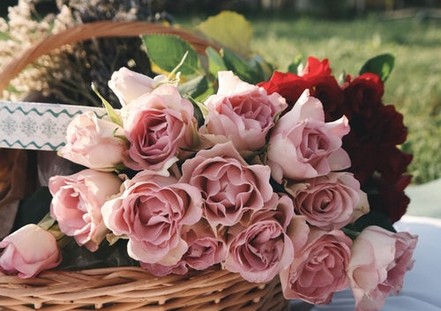FESTIVAL DEI FIORI