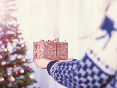 Vivi la magia del Natale in Trentino dall'Hotel Daniela!