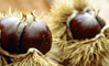 Castagne al mercatino di Levico